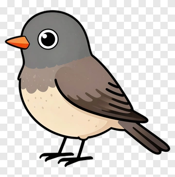 Cartoon Bird With Orange Beak PNG
