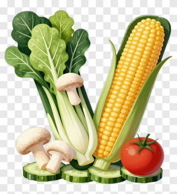Colorful Vegetable Composition With Corn And Mushrooms PNG