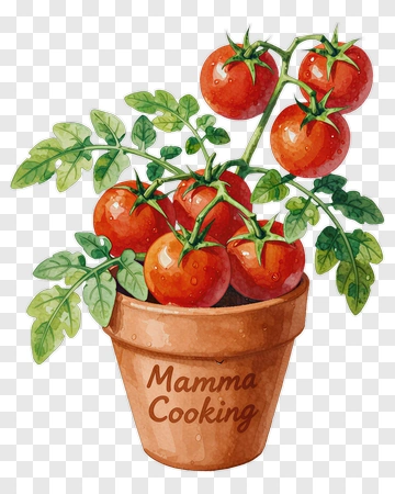 Tomato Plant In A Pot With Mamma Cooking Text PNG
