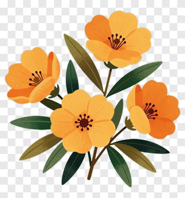 Colorful Floral Arrangement With Orange Flowers PNG