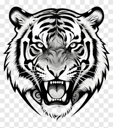 Angry Tiger Head Illustration PNG