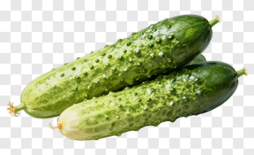 Fresh Cucumbers PNG