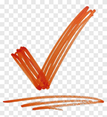 Orange Check Mark PNG