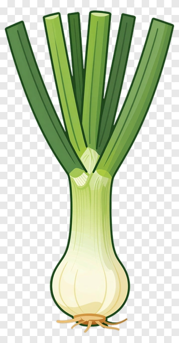 Green Onion With Fresh Green Tops PNG