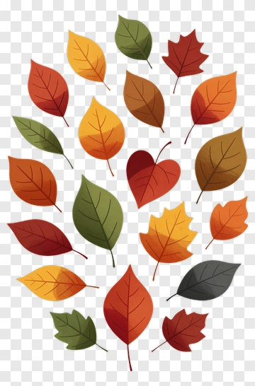 Colorful Autumn Leaves PNG