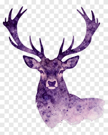 Watercolor Deer Head With Antlers PNG