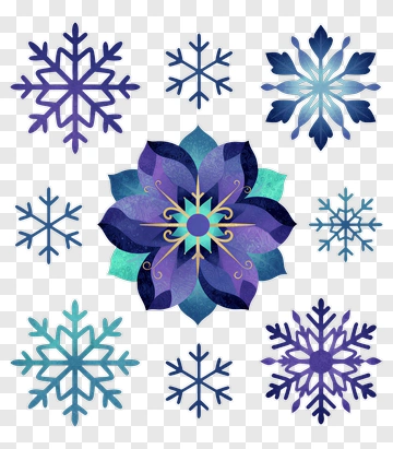 Colorful Snowflake And Flower Design PNG