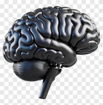 3D Black Brain Model PNG