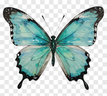 Watercolor Butterfly With Blue Wings PNG