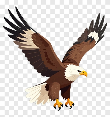Cartoon Eagle Flying PNG