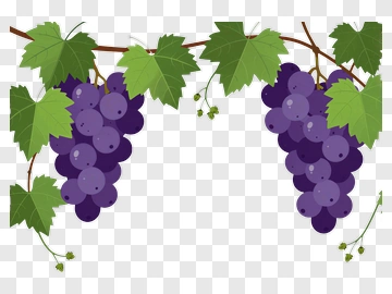 Bunch Of Purple Grapes With Green Leaves PNG