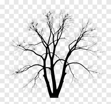 Silhouette Tree Without Leaves PNG