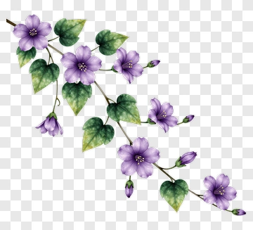 Violet Flower Vine With Green Leaves PNG
