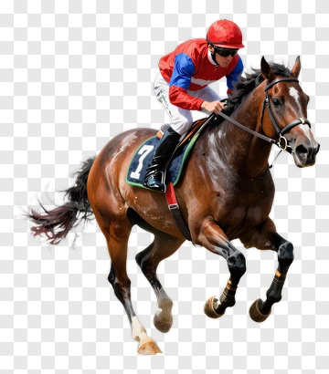 Jockey Riding A Racehorse PNG