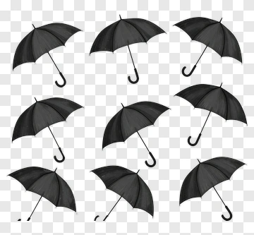 Black Umbrellas In Various Positions PNG