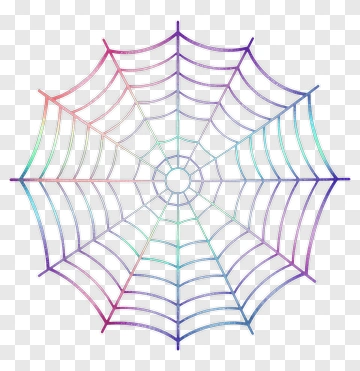 Colorful Spider Web PNG