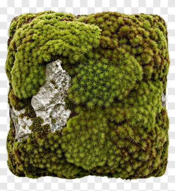 Mossy Rock Texture PNG