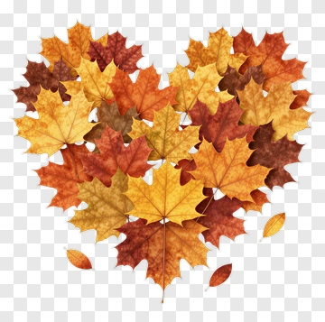 Heart Shape Made Of Autumn Leaves PNG