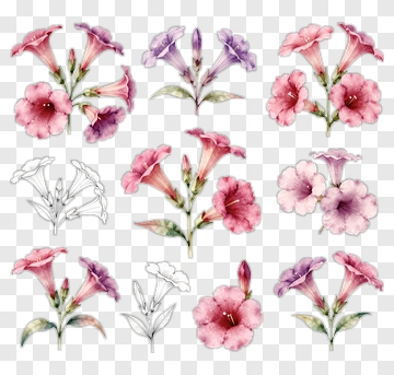 Colorful Floral Arrangement PNG