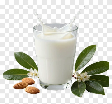 Glass Of Almond Milk With Almonds And Leaves PNG