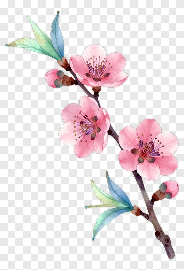 Watercolor Cherry Blossom Branch PNG