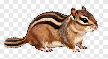 Realistic Chipmunk PNG