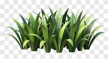 Realistic Green Grass PNG