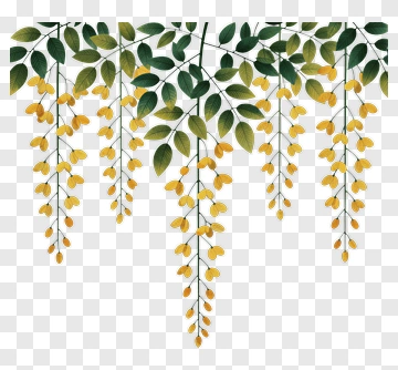 Colorful Floral Wreath With Yellow Flowers PNG