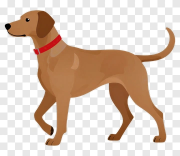 Cartoon Dog Walking PNG