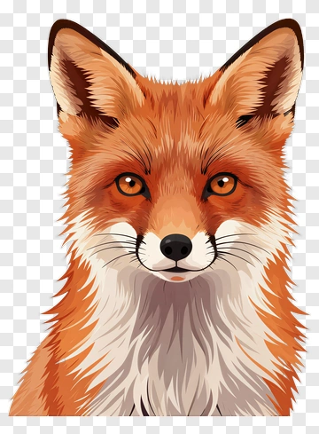 Realistic Fox Portrait PNG