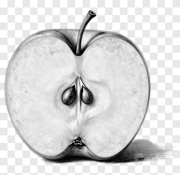 Half Apple Illustration PNG