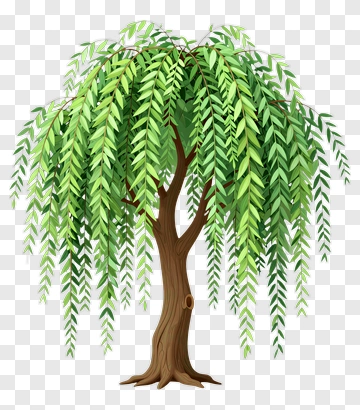 Felt Weeping Willow Tree PNG