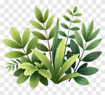 Colorful Leaf Arrangement PNG