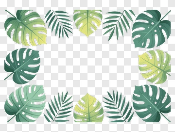 Tropical Leaf Frame PNG
