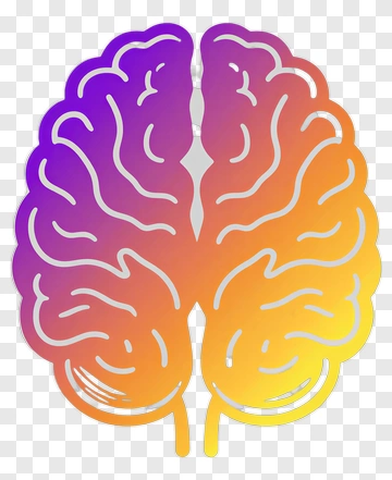 Colorful Brain Illustration PNG