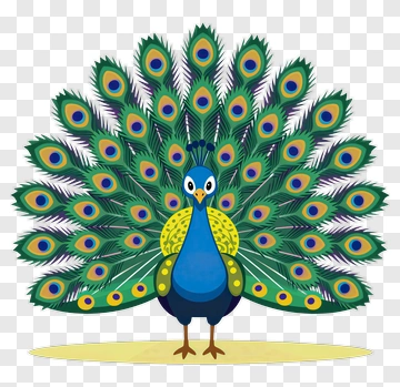 Colorful Cartoon Peacock Displaying Feathers PNG