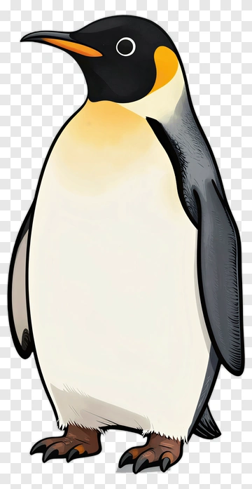 Cartoon Penguin PNG
