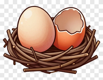 Eggs In A Nest PNG