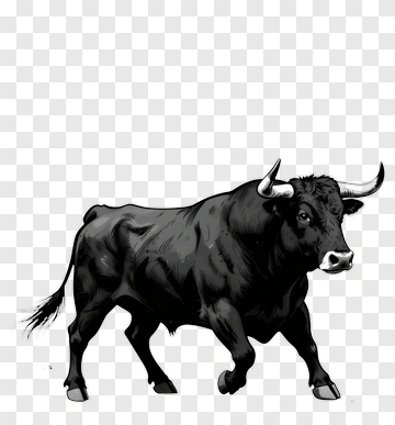 Black Bull Walking PNG