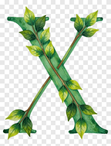 Green Letter X With Leaves PNG