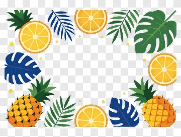 Tropical Frame With Pineapples And Oranges PNG