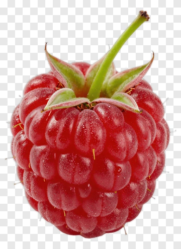 Fresh Red Raspberry PNG