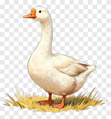 White Goose Standing On Grass PNG