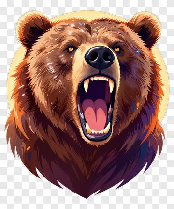 Angry Bear Head Illustration PNG