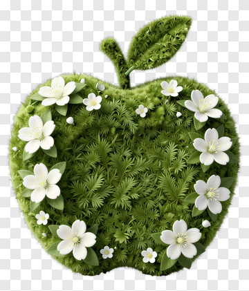 Green Apple With Flowers PNG