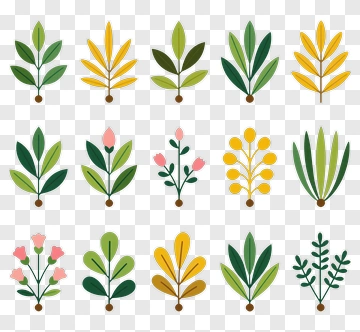 Colorful Floral Illustrations PNG