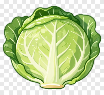 Green Cabbage PNG