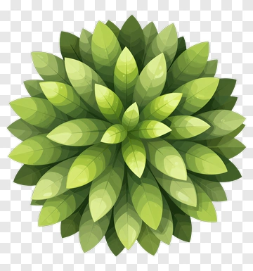Colorful Leaf Arrangement PNG