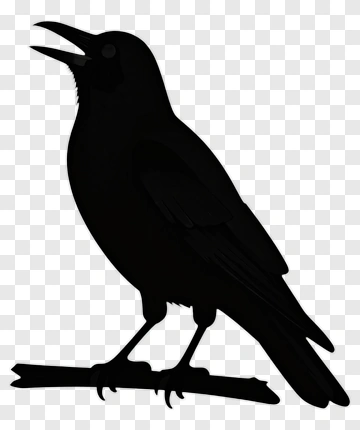 Silhouette Of A Crow On A Branch PNG