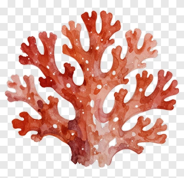 Watercolor Coral Reef PNG
